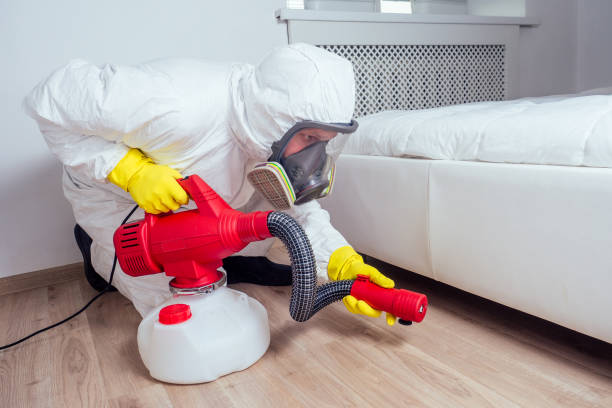 Best Residential Pest Control  in Henagar, AL